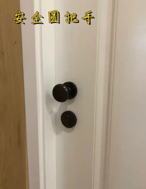 养宠一族必看，6点打造舒适宜居空间🐾图片_3