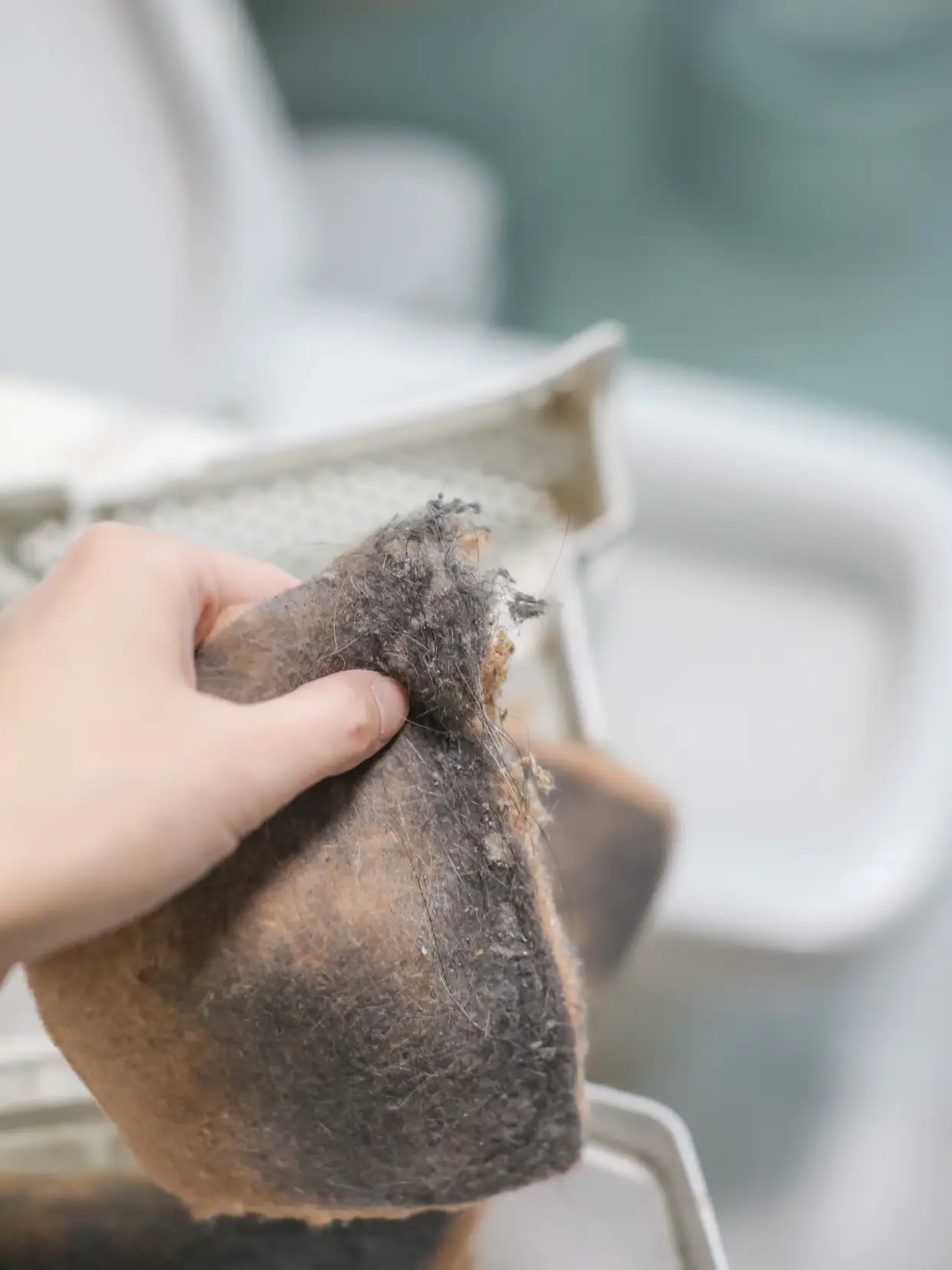 看完这些毛絮还觉得干衣机在北方多余吗？图片_8