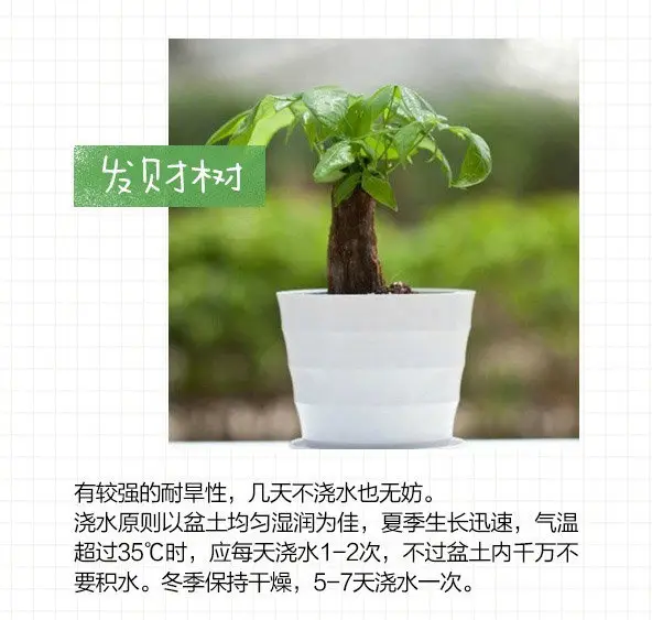 图片_7