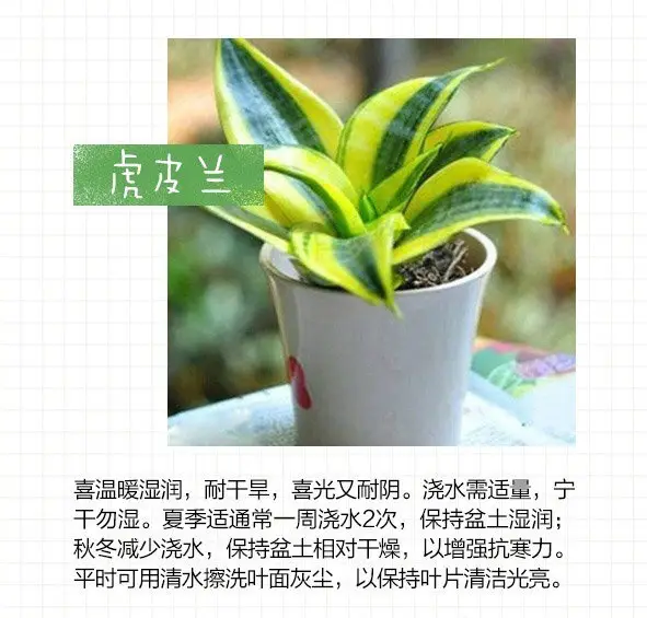 图片_8