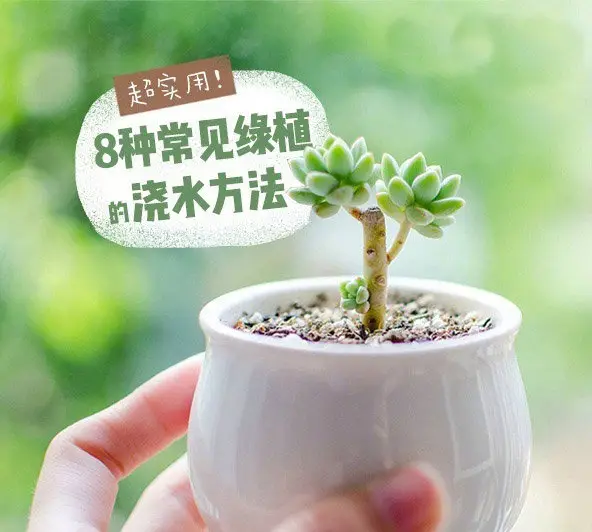 图片_4