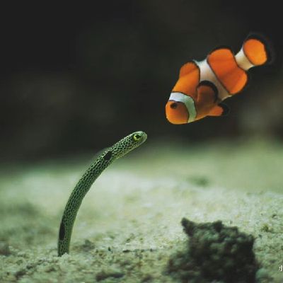 大辉装修咨询