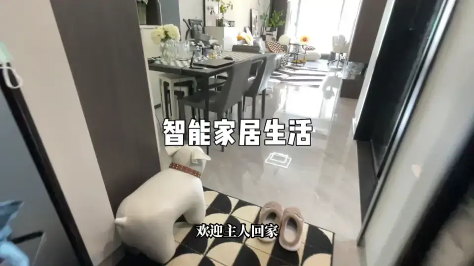 在外面辛苦赚钱，回家肯定要享受一下智能家居带来的乐趣吧