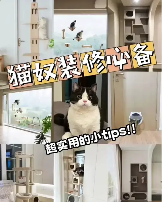 猫奴装修必备，超实用的小tips！