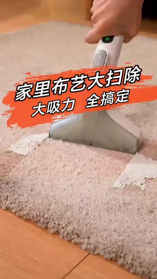 家有地毯，布艺沙发，这样打扫更省力！