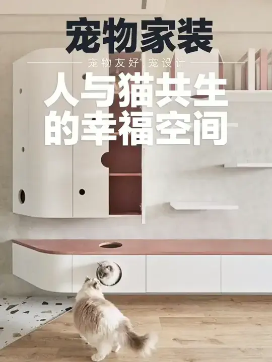 宠物友好设计