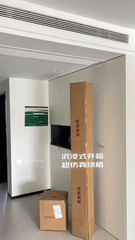 开启绿色世界，沉浸式绿植装修