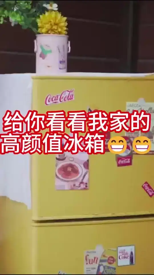 旧冰箱空调洗衣服翻新改色改造漆