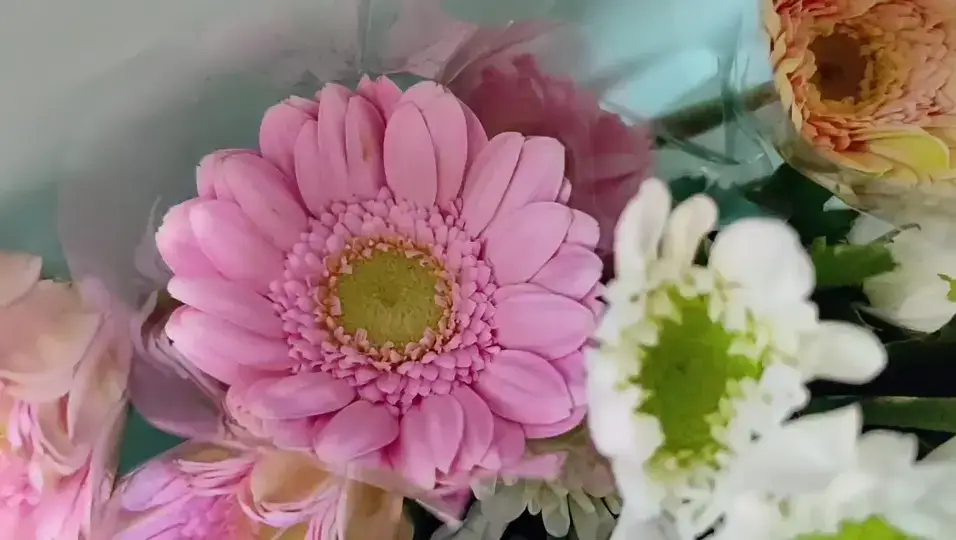 一个小小的幸福：下班时送自己一束鲜花💮