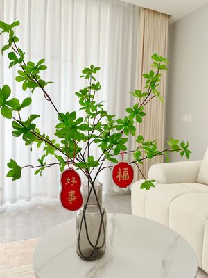 琉琉球的装修日记