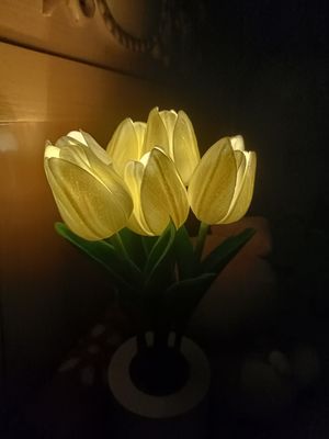 德才兼备冰淇淋761