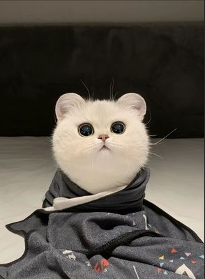 33在装修！