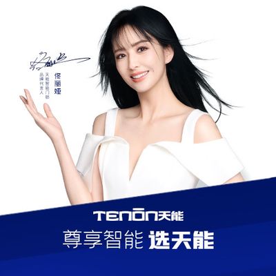 天能智能门锁