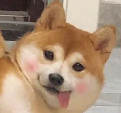 一根薯条