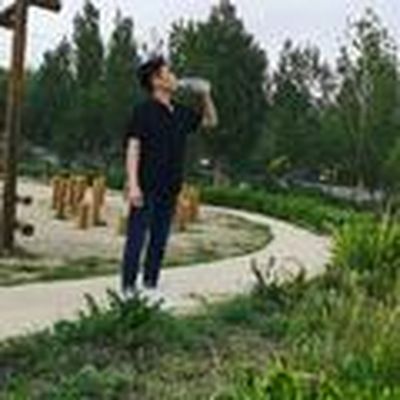 装大师