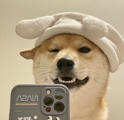 肥腻肥腻哦
