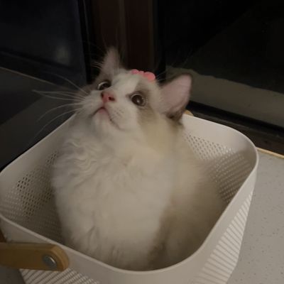 别止