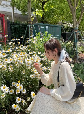 芒果小曲奇