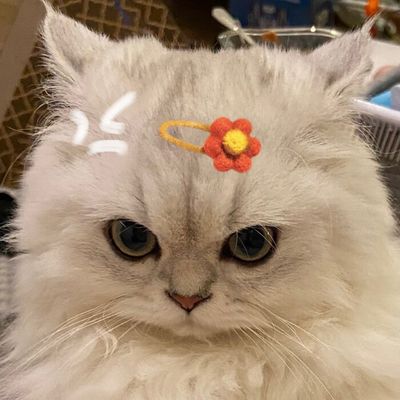 芝士园园长