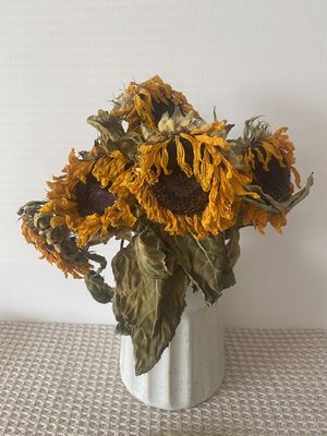 设计师早十九