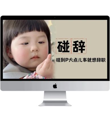 喵工很忙